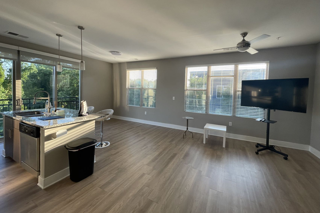 Living room - Downtown Durham Lease Takeover – Corner Unit, Direct Bus to Duke Apartments