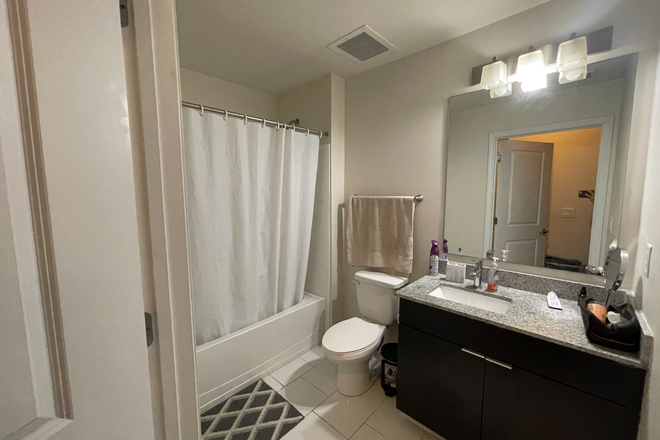 Bathroom - The Standard at Boone Apartments