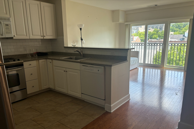 Kitchen opens to the living room - 2BR apt-Spring St-Princeton