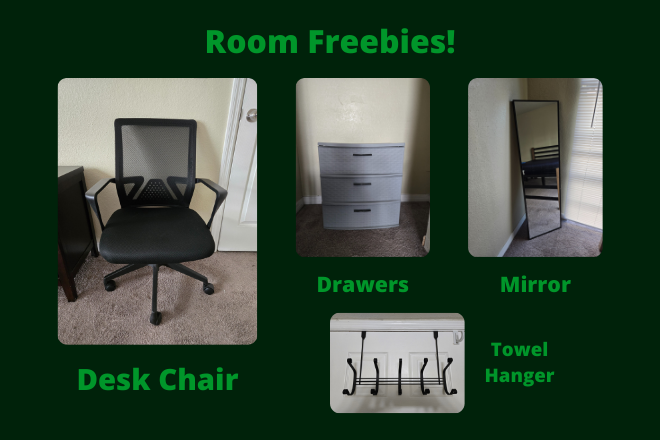Room Freebies - College Town at USF - Dean's List Apartment - Room B