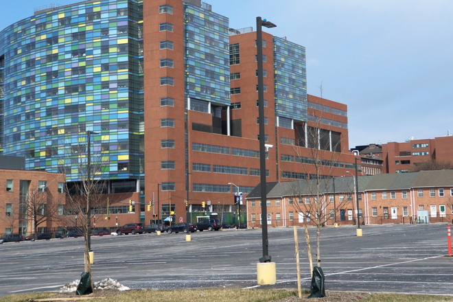 JHH rear of Townhome (bottom of pic) - Furnished rooms with private bathrooms adjacent to JHH and campus schools (SON, SPH, Medi