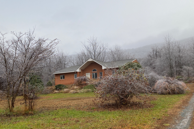 Front Garden - Lovely quiet home in  Afton near vineyards and 27 minutes from UVA