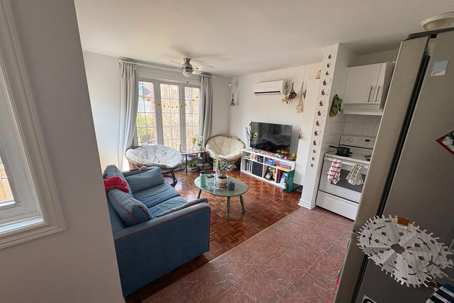 Shared Living Room - 1 bedroom available in ALL FEMALE 3 bedroom 1 bath apartment