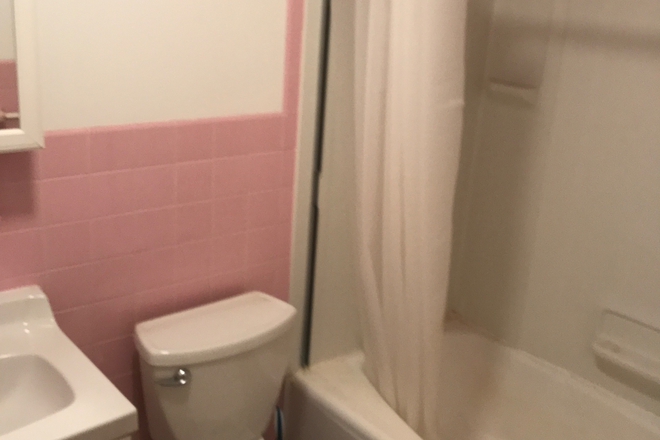 Shared bathroom - Furnished room-Woodland Dr-Princeton House