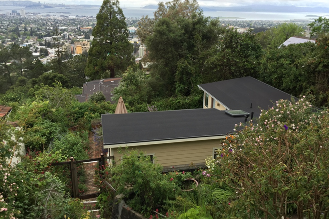 view from our yeard - Berkeley, Panoramic Hill, secluded cottage with fantastic view Rental