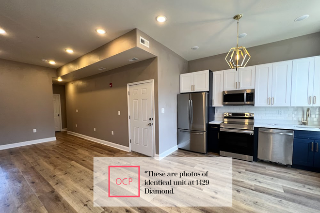 Living Room - OCP - Brand New Bright 1 Bed 1 Bath With Shared ROOF DECK Apartments