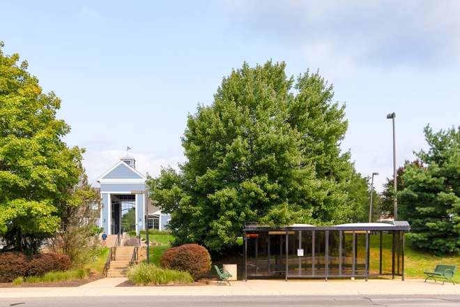 Outside street view - The Pointe at Stage College