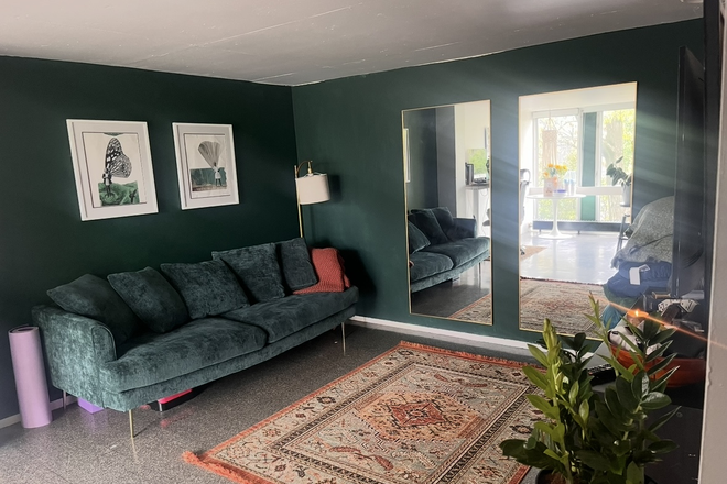 Living Room - Beautifully furnished One Bedroom Apt, close to campus & transportation