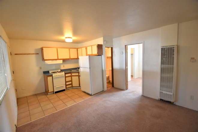 Living room and kitchen - Spring & Summer Sublet!! Affordable 1 bedroom near campus Apartments