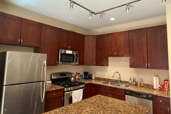 Fully equipped kitchen - 3 bedroom town house walking to IIT