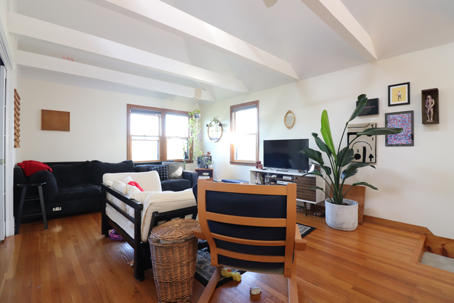 living room - Massive Brookline 5 bed/2 bath with in unit laundry and 2 decks - NO FEE! Duplex