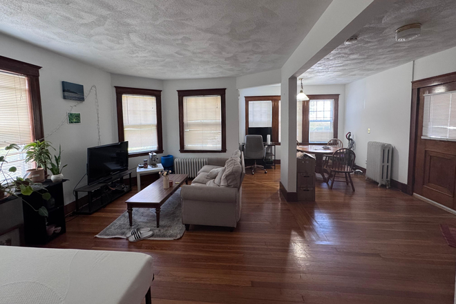 Living Room - Private room availabile for Sept 1 move-in (2025)
