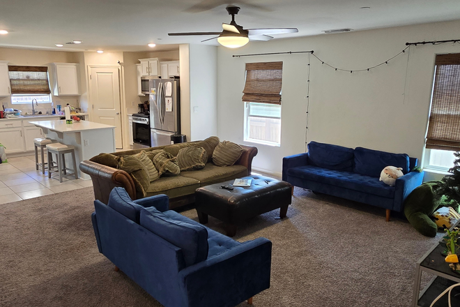 Dining and living areas - Master BR suite in new 4 BR, 3 Bath home, close to campus and bus routes