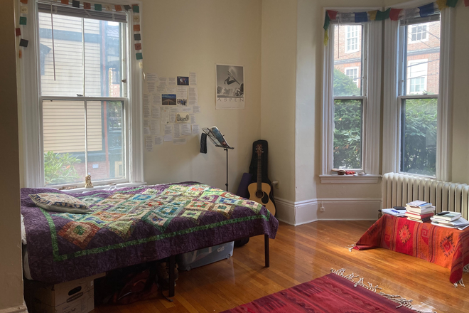 Main room view 2 - Lovely painted lady a block from Harvard Yard Apartments