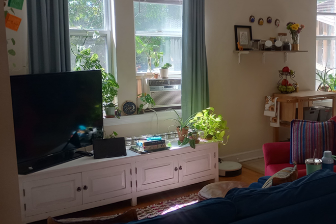 Living room - Room in a 2B apartment in Logan Square