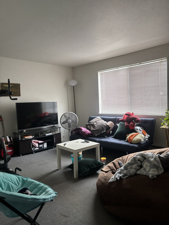 living room - The Social Amherst Apartments