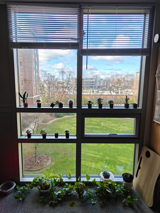 Courtward view from the bedroom - Courtyard view apartment in Sid-Pac Grad dorm with 10 mins walk to MIT main building