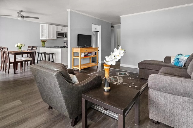 Living room and kitchen - Furnished Room in Essex Condo Available! Perfect for Visiting Med-Students or Traveling Nurses!