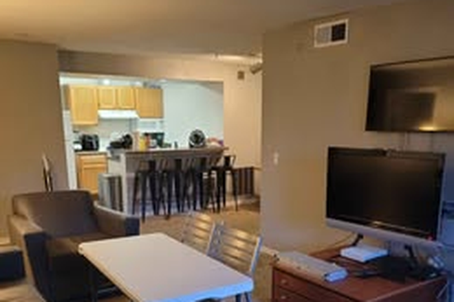Living Room - Private bedroom & bathroom sublease for shared 4-person apartment at 2904 Network Place (The Social)