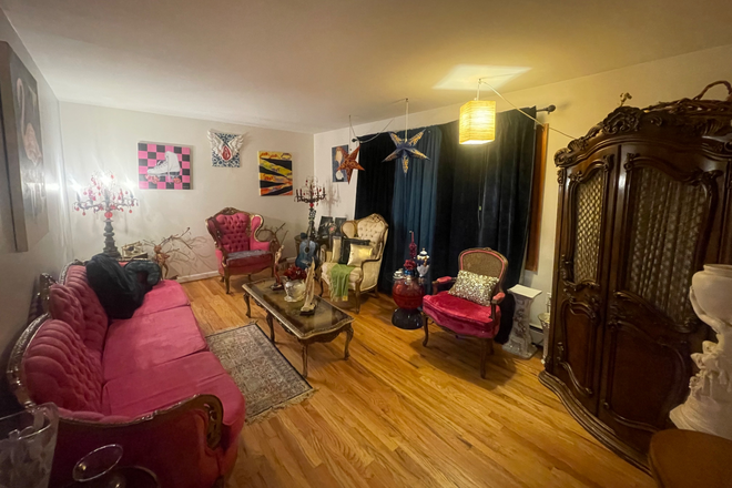 Living room - Ironbound Newark - Looking for roommate in Chic Baroque Art Deco Inspired Apartment