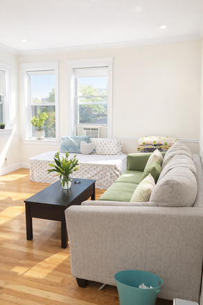 1 - Condo Quality Allston  NO FEE Modern unit for 9/1 move in NO PETS