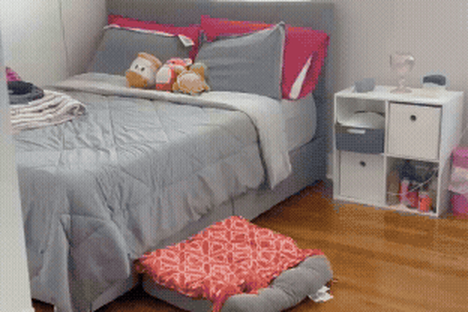 Bedroom - Hyde Park 1 Bedroom in shared space , Close to commuter rail