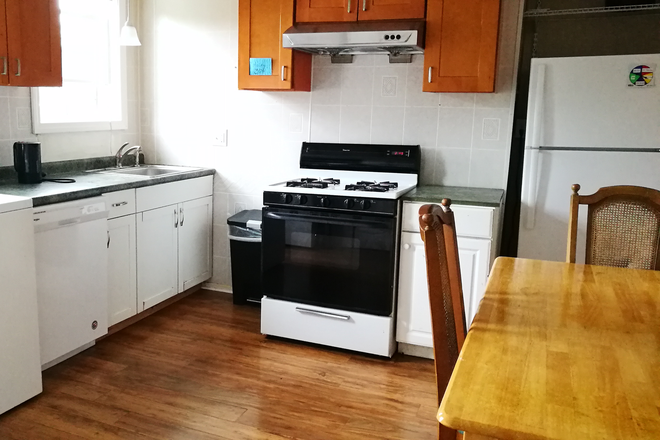 Kitchen - NO FEE Furnished 5 bedroom, 1300ft apartment - Close to Tufts Medford