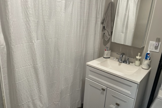 bath - great location! cozy, sunny, renovated, harvard design, redline, Apartments