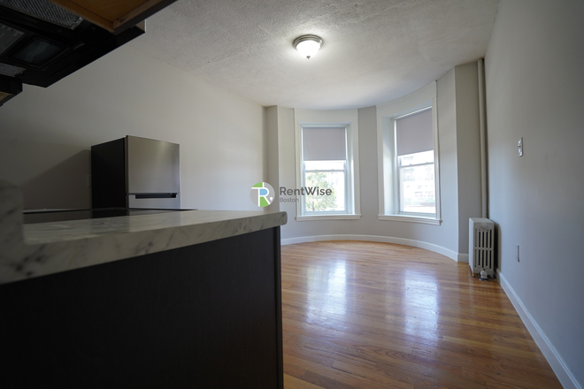 1 - OCT 2026 | Awesome Packards Corner Studio | H/HW inc. | Cats Ok | NO FEE! Apartments