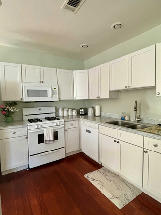 Kitchen - brand new everything - RENT IS NEGOTIABLE. 1-bedroom available. Less than 0.5 Mile, 5-minute walk to Tulane & Loyola House