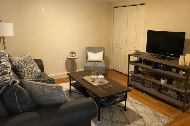 living room - Fenway garden level two bed with updated kitchen for 9/1 - NO FEE! Apartments