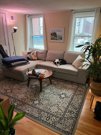 Living Room (couch for sale) - Beacon Hill (Cambridge St) 1 bed, 1 bath, dishwasher, pet friendly Apartments