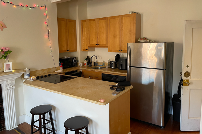 1 - SEPT 2026-Fantastic Back Bay 1 bed, H/HW inc. Cat ok. No Broker Fee! Apartments