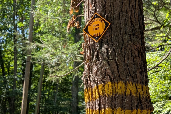Next to State Forest - House