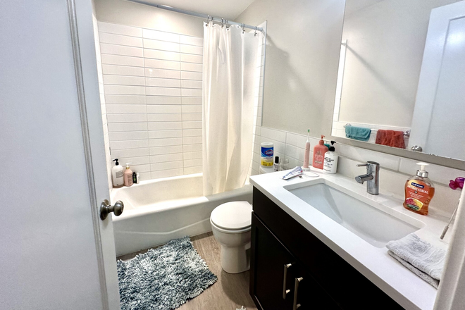 1 - Garden 2 bedroom on Comm Ave 9/1 no fee Apartments