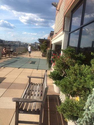 Rooftop swimming pool - Walking distance GW, JHopkins, Georgetown.Great price.Mint. Amenities. Ideal med, law, grad student