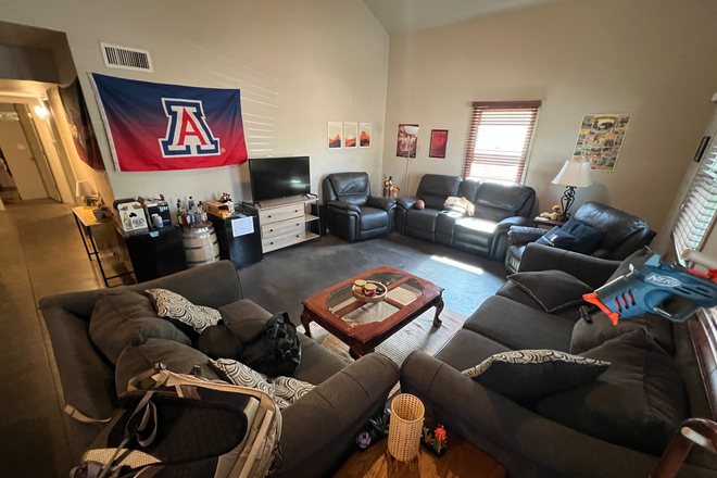 Living room - House in West University