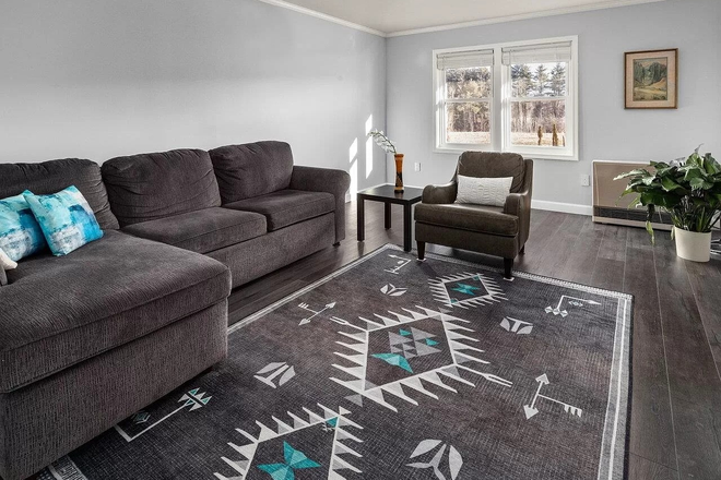 Living Room - Furnished Room in Essex Condo Available! Perfect for Visiting Med-Students or Traveling Nurses!