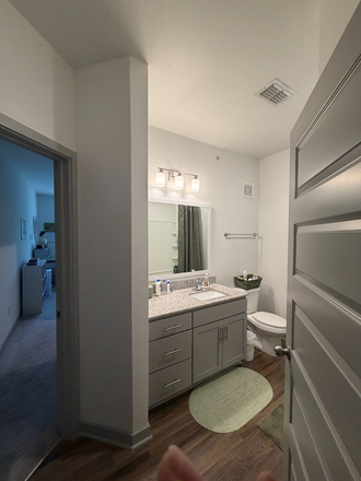private bathroom (wont be furnished at time of move in) - The Estelle Apartments