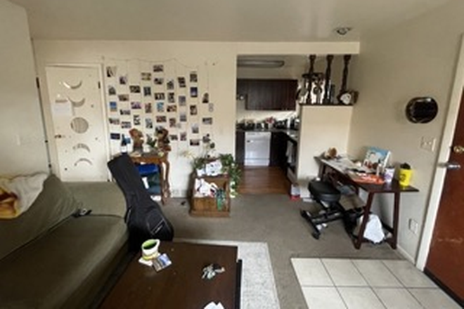 Living room - Bedroom in 2 Bedroom / 1 Bathroom Apartment