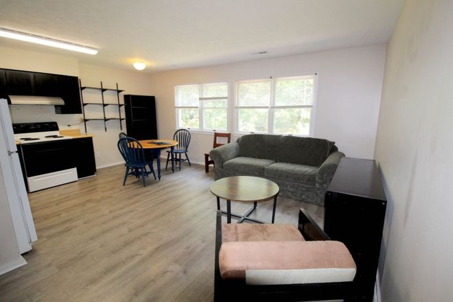 Living Room - Furnished 5 Bedroom Townhome on Mountain View Drive!