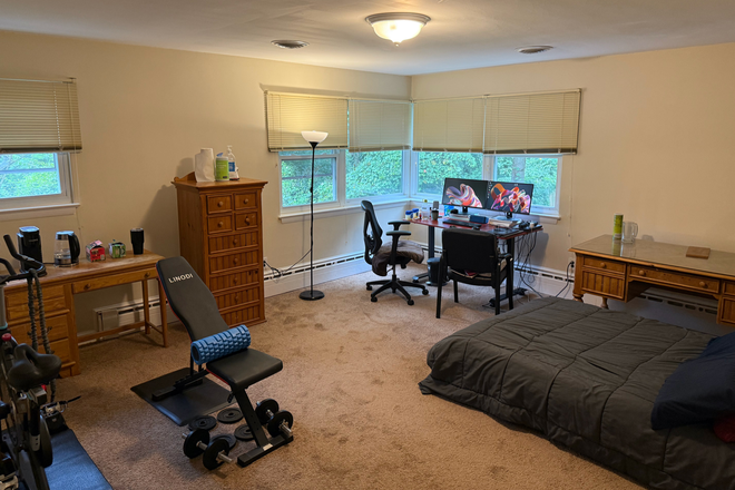 400 sq ft Room 3 Large enough to be a tiny house! - LEGACY HOUSE / 1 ROOM furnished, en-suite, walking distance to UMD (utilities included)