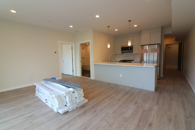 living room - Modern Brighton 1 bed with AC, in unit laundry, and parking - no fee! Apartments