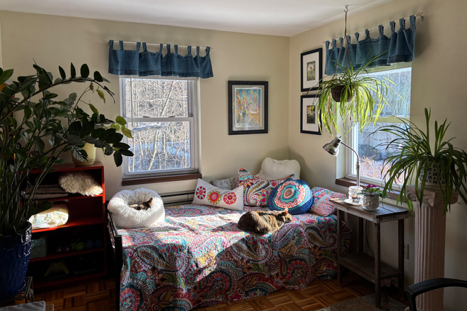 your sunny bedroom - One bedroom in cozy condo, with cuddly cats