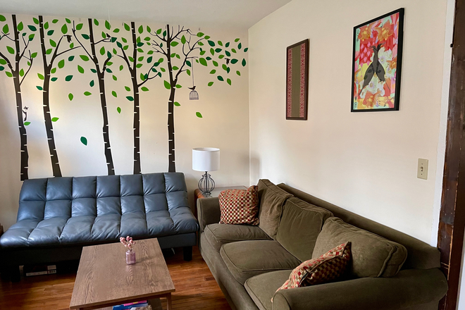 Living room - SPRING SUBLET - private bedroom in 3b1b in downtown Amherst