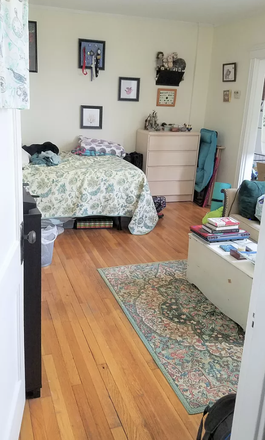 sleeping area - Sunny Allston studio - landlord pays the fee! Apartments