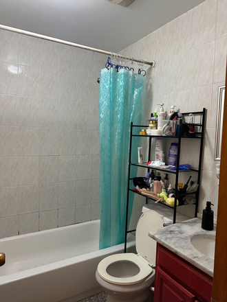 Bathroom - Private room in sunset park- Female only Townhome