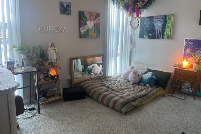 bedroom - Room in 2BR Apartment off Baseline and Mohawk