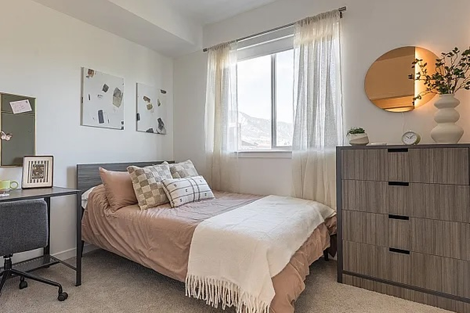 Bedroom has bed, desk, dresser, large closet but you will decorate - FREE bedroom for May!! Walk to Campus! Union 9Seventy Room - Starting May 8, 2026!