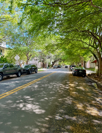 Street View - 1 Bedroom Downtown Coral Gables and 3.7 miles from UM